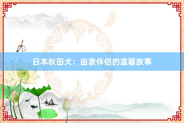 日本秋田犬：由衷伴侣的温馨故事