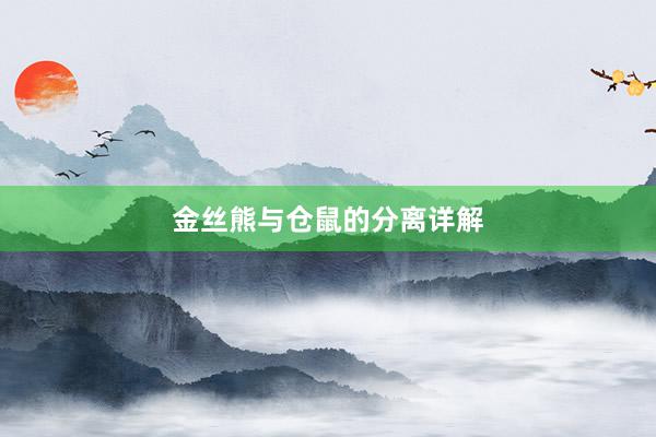 金丝熊与仓鼠的分离详解