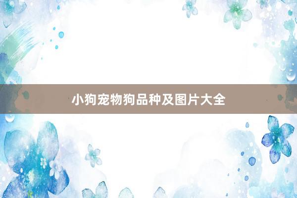 小狗宠物狗品种及图片大全