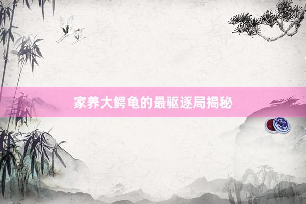 家养大鳄龟的最驱逐局揭秘
